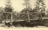 Remiremont. - Le Pont de la Roche Tocquaine